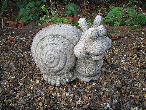 KA136 Laughing Snail KA136 Laughing Snail